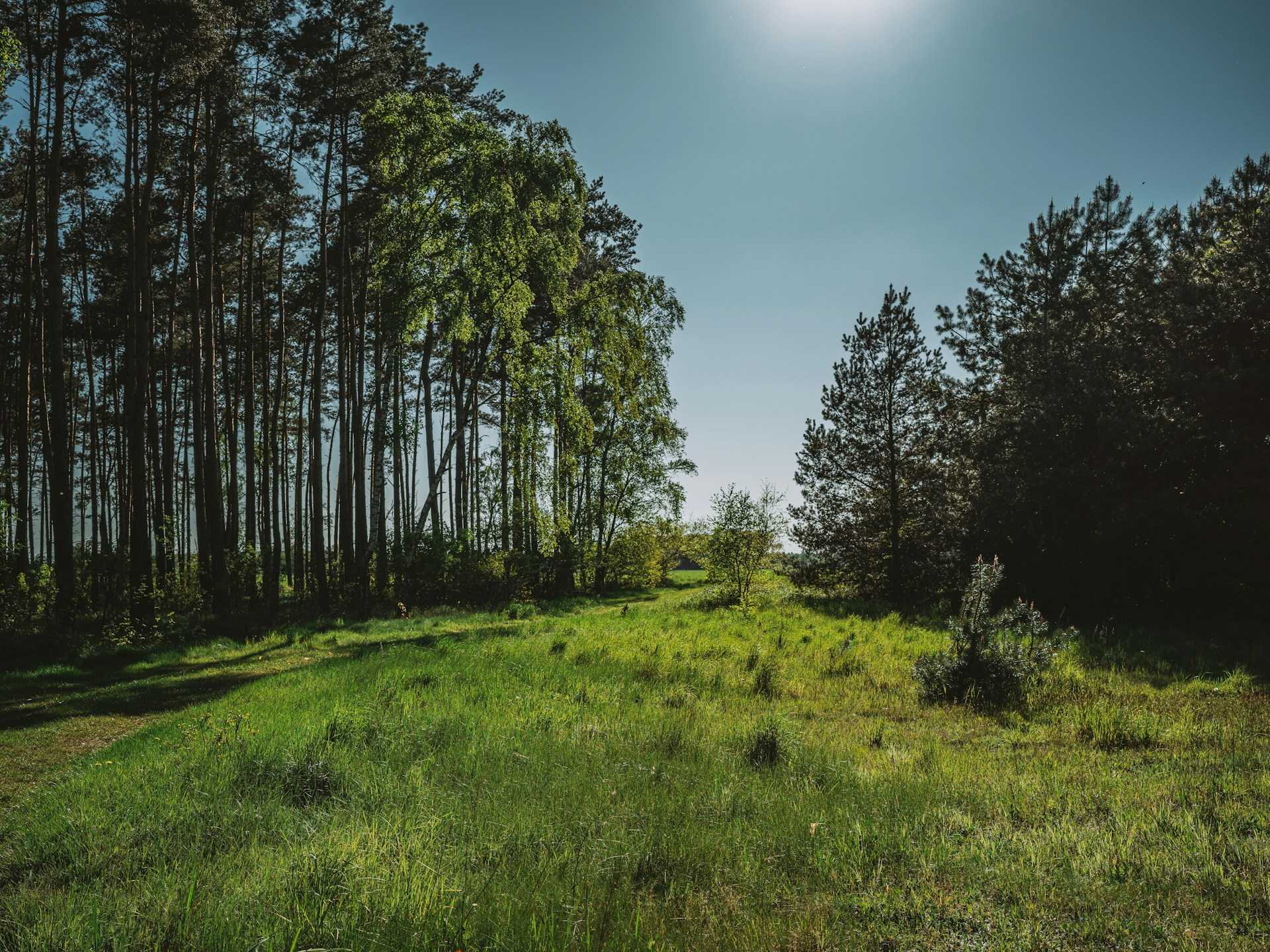 Plano de Recuperação de Áreas Degradadas - PRAD