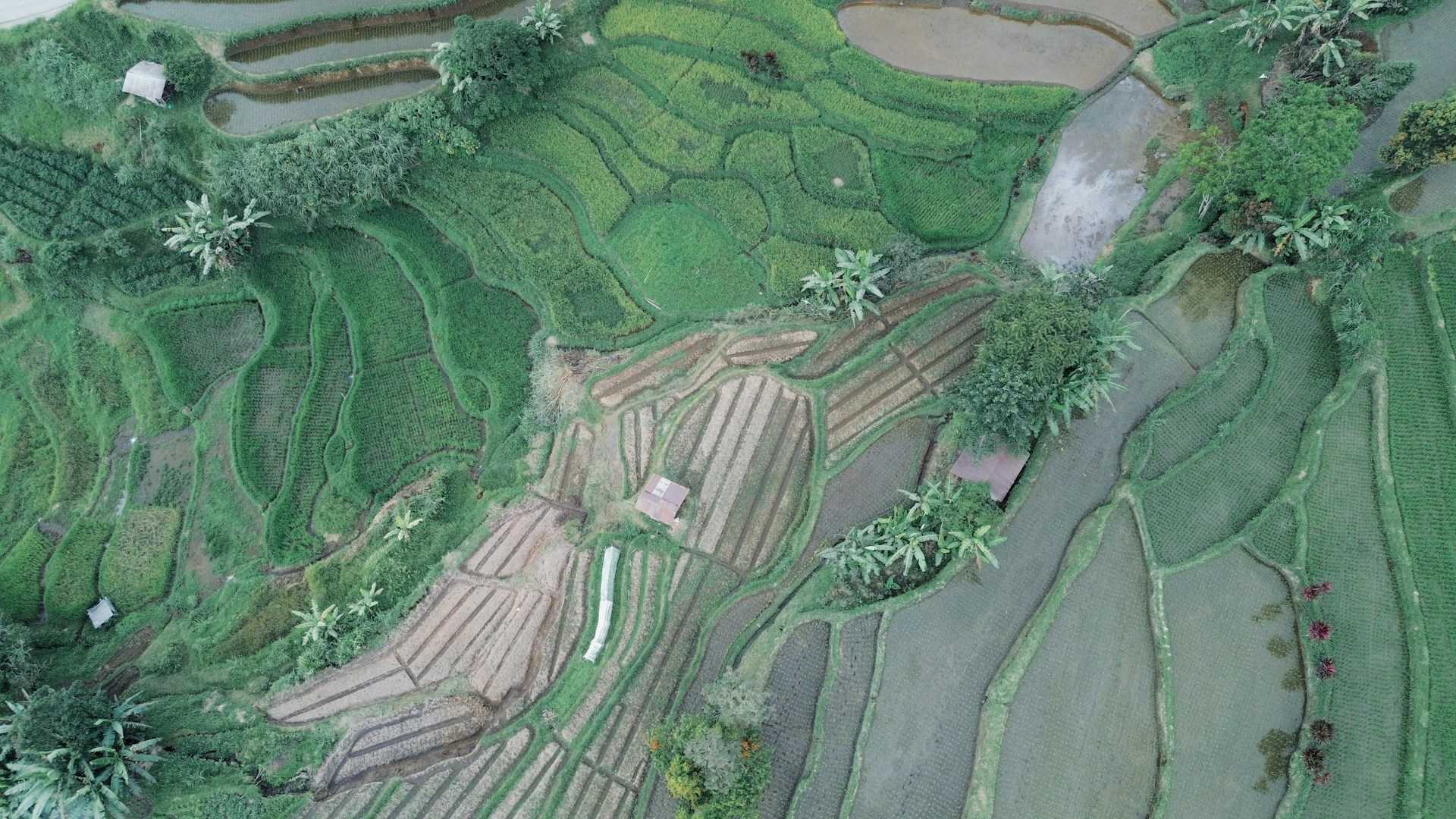 Projetos de Desmembramento